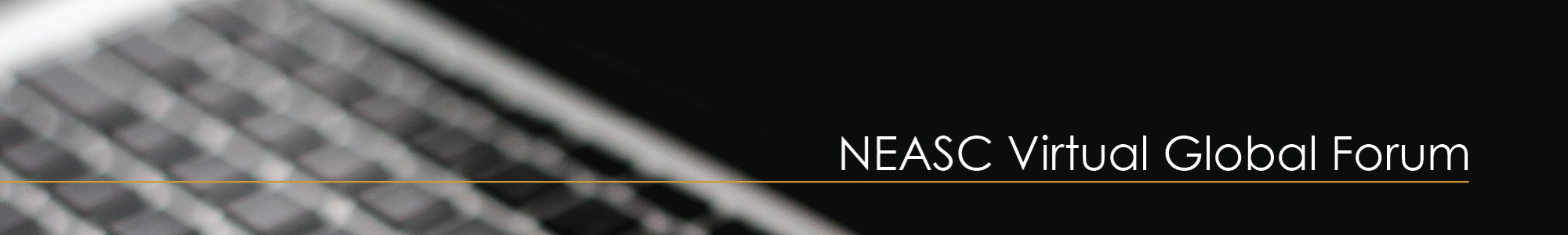 #NEASCforum header image