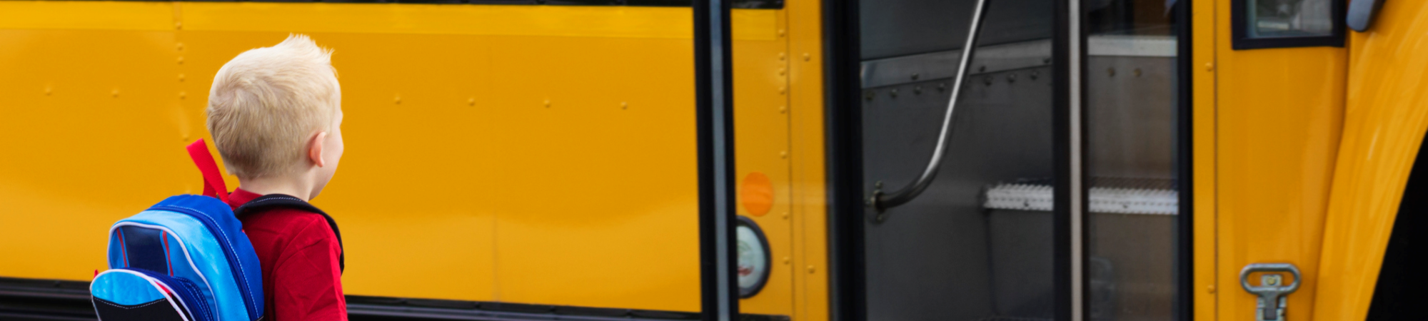 Public Schools standards schools hero